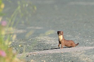 2602